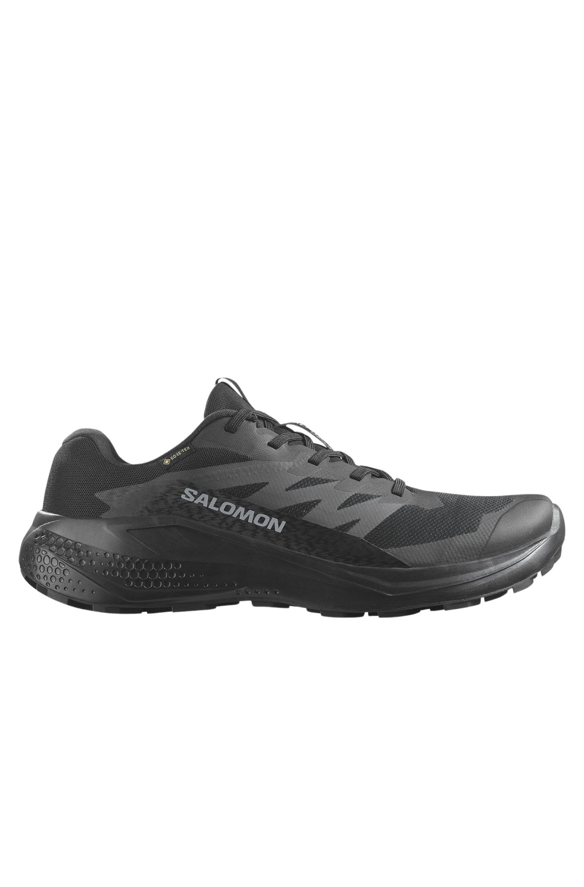 Salomon Alphaglide Gtx Ανδρικό Παπούτσι 478021 Μαύρο