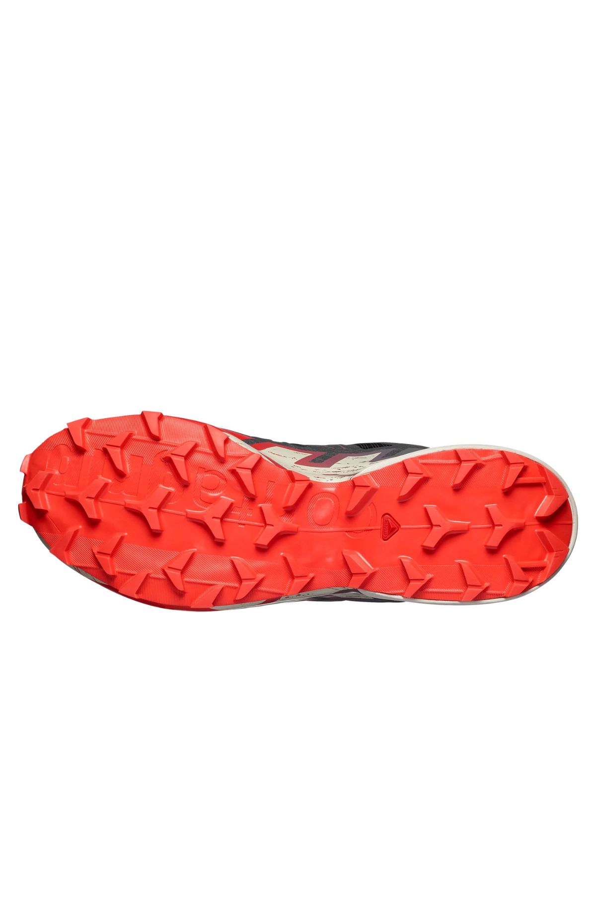 HTCLOTHES123 - 2026-03-04T125332.999