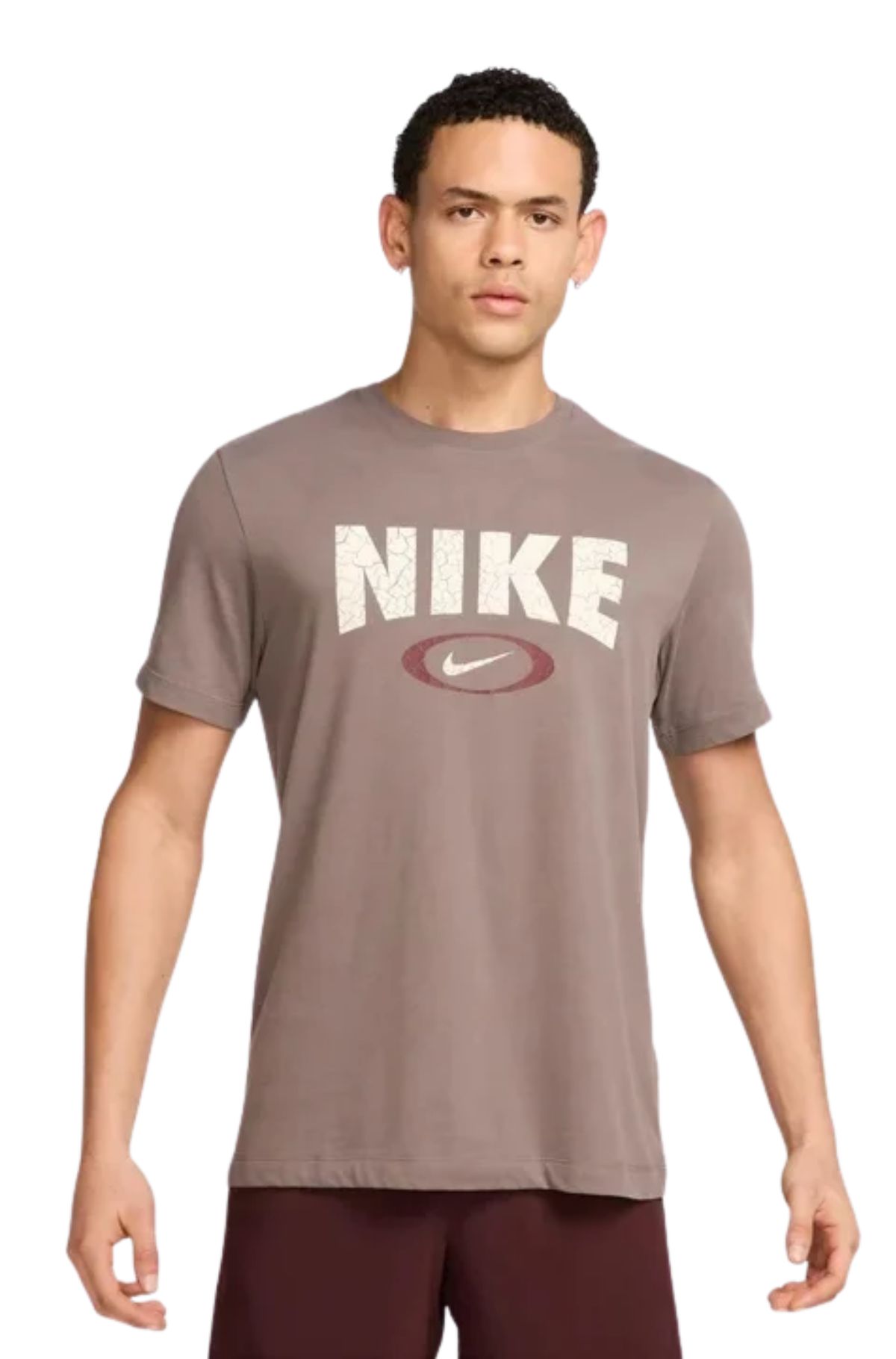Nike Ανδρικό T-Shirt HJ3594-289 Καφέ/Γκρι