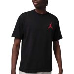 Nike Jordan Ανδρικό T-Shirt IR0342-010 Μαύρο
