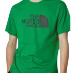 The North Face Ανδρικό T-Shirt NF0A87N5PO81 Πράσινο