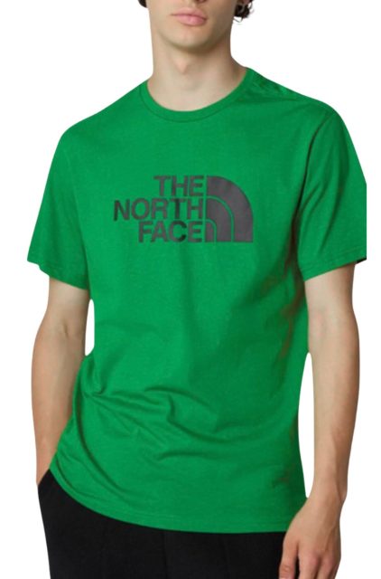 The North Face Ανδρικό T-Shirt NF0A87N5PO81 Πράσινο